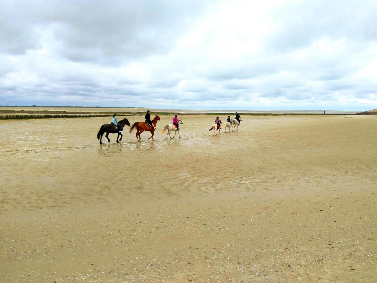 Maison Proche Des Immenses Plages De Berck Sur Mer A 1,8Km Des Plages מראה חיצוני תמונה
